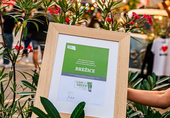 Mestna_promenada_Slovenia_Green_Platinum