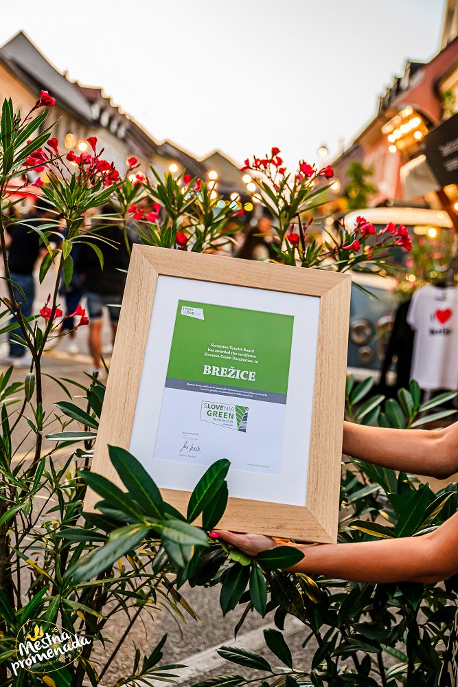 Mestna_promenada_Slovenia_Green_Platinum